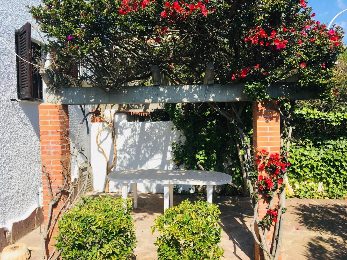 Apartamentos Tres Playas Altamar Alcossebre Kültér fotó